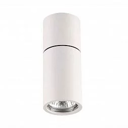 Технический светильник Odeon Light Hightech 3582/1C