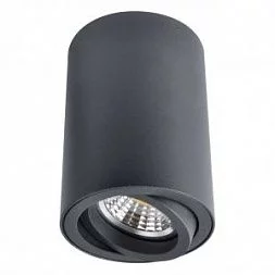  Arte Lamp SENTRY Черный A1560PL-1BK