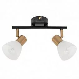 Светильник спот Arte Lamp FALENA Черный A3117PL-2BK